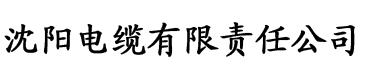 久久亚洲精品无码VA大香大香电缆厂logo